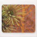 Recherche de orange corail tapis souris Mer