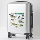 Recherche de entomologiste autocollants Criquets