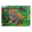 Recherche de compagnon vœux cartes Famille