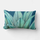 Recherche de agave coussins Cactus
