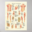 Zoek naar y posters Grafiek
