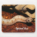 Recherche de reptiles tapis souris Échelles