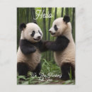 Recherche de panda de bébé cartes postales Pandas