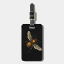Recherche de insecte de vacances Abeille