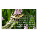 Recherche de papillon pourpre cartes visite Nature