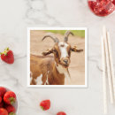 Zoek naar geiten servetten Dier