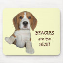 Recherche de chiot beagle tapis souris Chiots