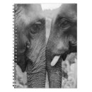 Recherche de éléphant carnets Paysage