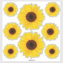 Recherche de tournesols autocollants Pour tous