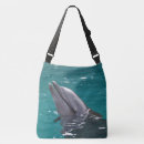 Recherche de dauphin sacs Aquatique