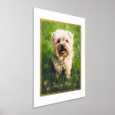 Recherche de animaux portraits Empreinte de patte