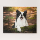 Recherche de black and white puzzles Dog