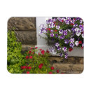 Recherche de écossais magnets Rose