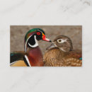 Recherche de canard en bois cartes visite Sauvagine