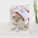Recherche de chaton drôle vœux cartes Amoureux de les chats