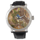 Recherche de merles montres Oiseau