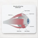 Recherche de oeil humain tapis souris Anatomie