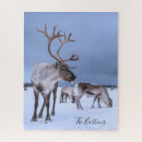 Recherche de rennes puzzles Family