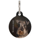 Recherche de schnauzers Pour animaux