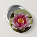 Zoek naar waterlelie buttons For her