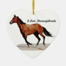 Recherche de pur sang ornements Chevaux