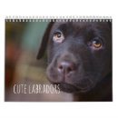 Recherche de labrador calendriers Chocolat