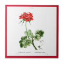 Recherche de joseph carreaux Fleurs
