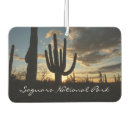 Recherche de cactus voiture accessoires Désert