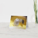 Zoek naar caterpillar kaarten Rupsband