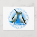 Recherche de galapagos cartes postales Travel