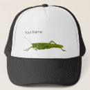 Recherche de sauterelles casquettes Nature
