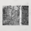 Recherche de oiseaux de jardin cartes postales Noir