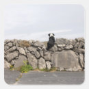 Recherche de mur en pierre autocollants Extérieur