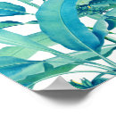 Recherche de feuille de banane posters Botanique