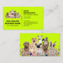 Recherche de image de chien cartes visite Toiletteur