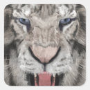 Recherche de tigre blanc autocollants Tête de tigre