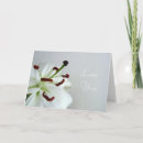 Zoek naar lily kaarten Romantisch