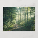 Recherche de chemin forestier cartes postales Sentier