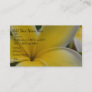 Recherche de frangipani cartes visite Fleur