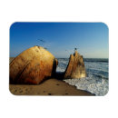 Recherche de naufrage magnets Littoral