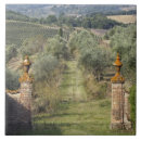 Recherche de vignoble carreaux Agriculture