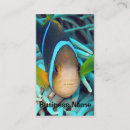 Recherche de poissons tropicaux cartes visite Mer