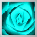 Recherche de turquoise posters Rose