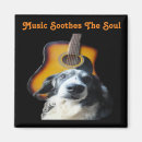 Recherche de guitare magnets Instruments