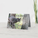 Recherche de le chat le plus drôle vœux cartes Extérieur