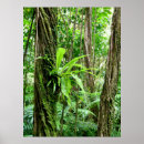 Recherche de forêts tropicales posters Hawaii