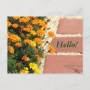 Recherche de marigot cartes postales Jaune