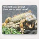 Recherche de iguane Cool