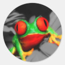 Zoek naar rode ogen stickers Kikker
