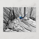 Recherche de superbe cartes postales Pour eux